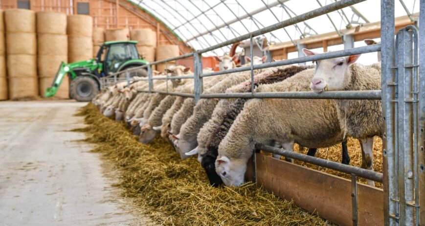 Organic farms avoid toxic inputs, improve soil health, grow clean, sustainable food that supports nature.