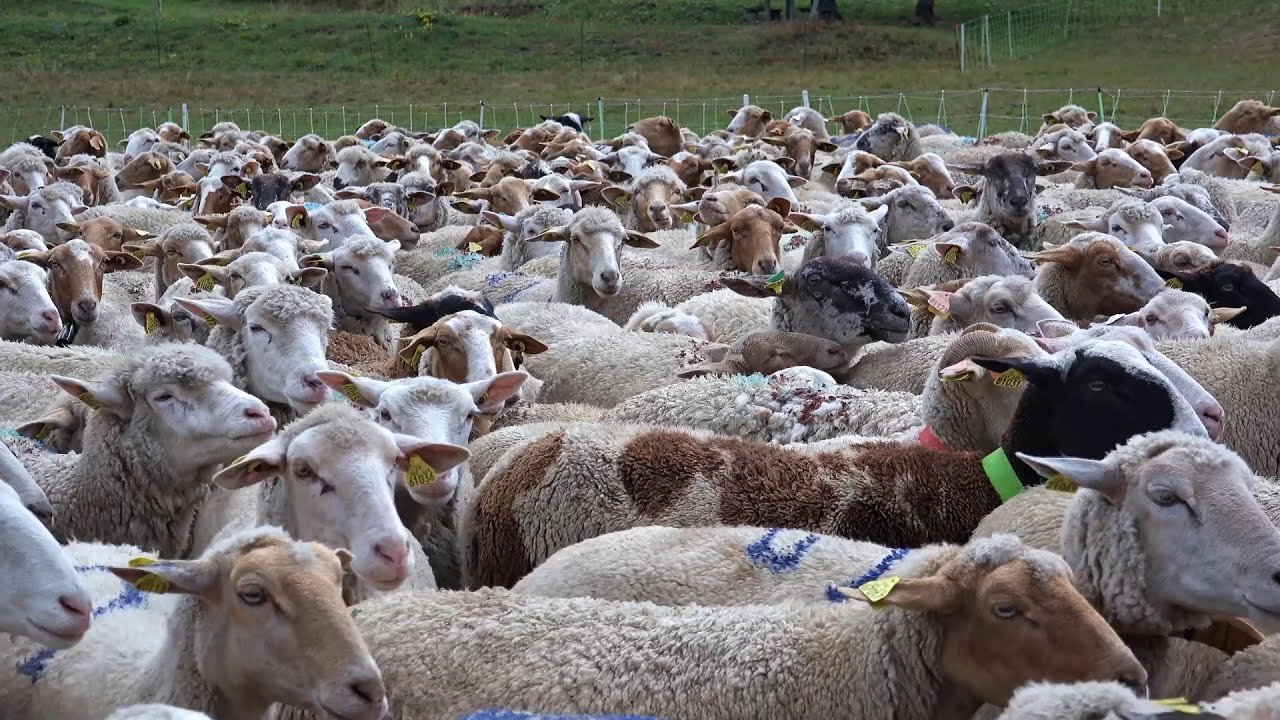 Organic farms avoid toxic inputs, improve soil health, grow clean, sustainable food that supports nature.